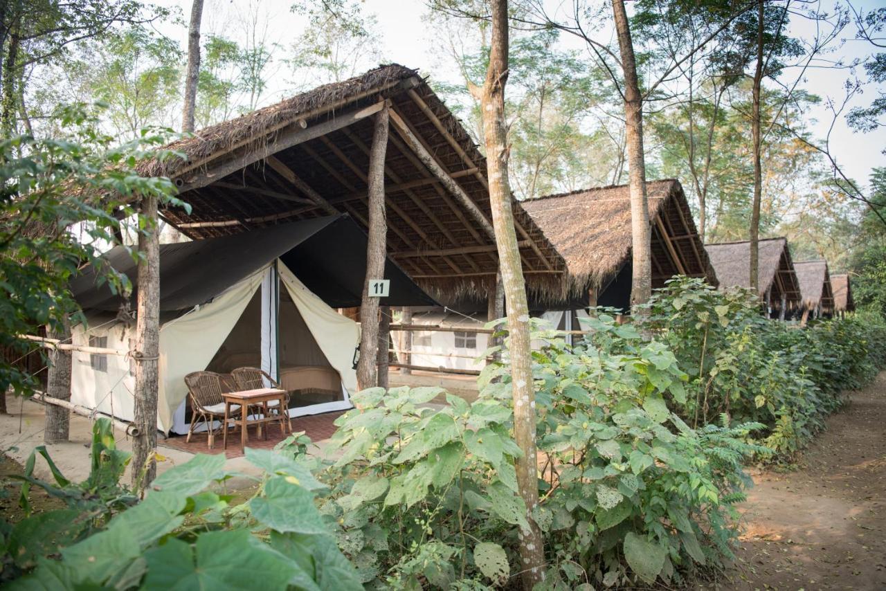 Tiger Tops Tharu Lodge Чітаван Екстер'єр фото