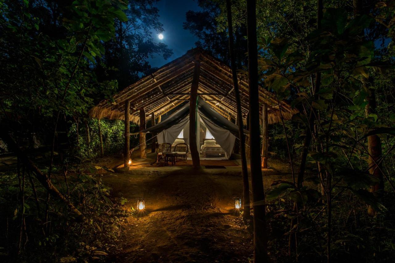 Tiger Tops Tharu Lodge Чітаван Екстер'єр фото